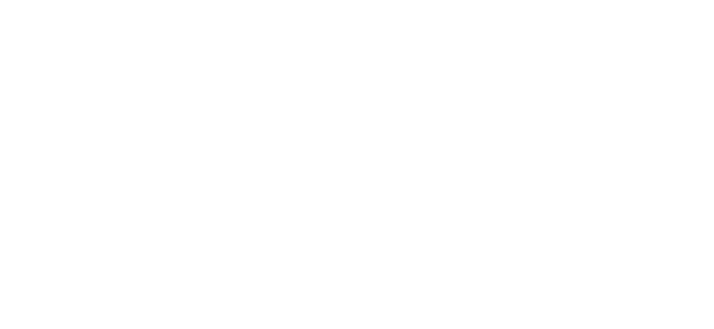Logo Dra. Anelisa Ruaro